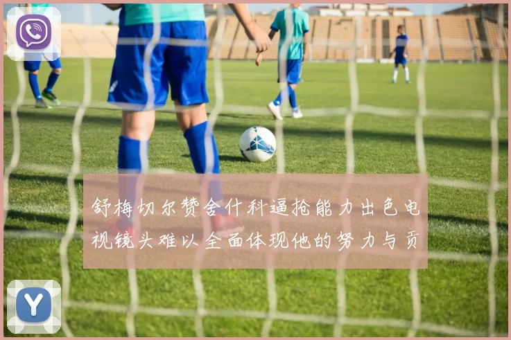 舒梅切尔赞舍什科逼抢能力出色电视镜头难以全面体现他的努力与贡献