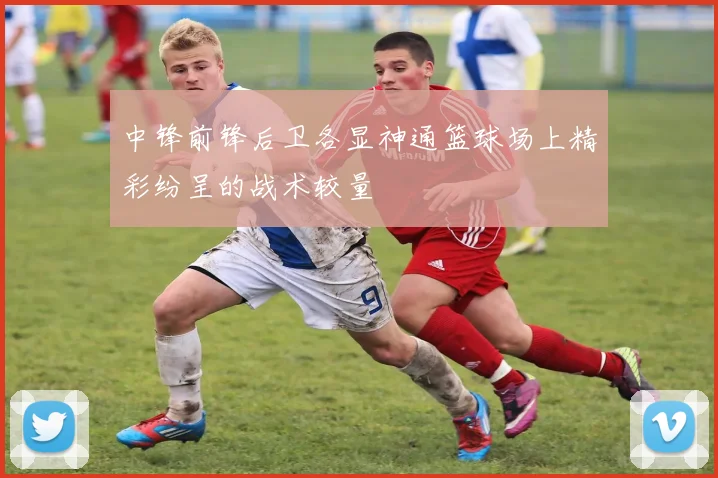 中锋前锋后卫各显神通篮球场上精彩纷呈的战术较量