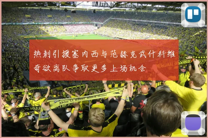 热刺引援塞内西与范赫克武什科维奇欲离队争取更多上场机会